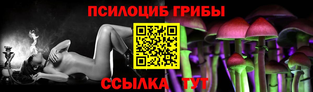 Галлюциногенные грибы Psilocybine cubensis  Вход с VPN  Галлюциногенные грибы Psilocybe  Мурманск 